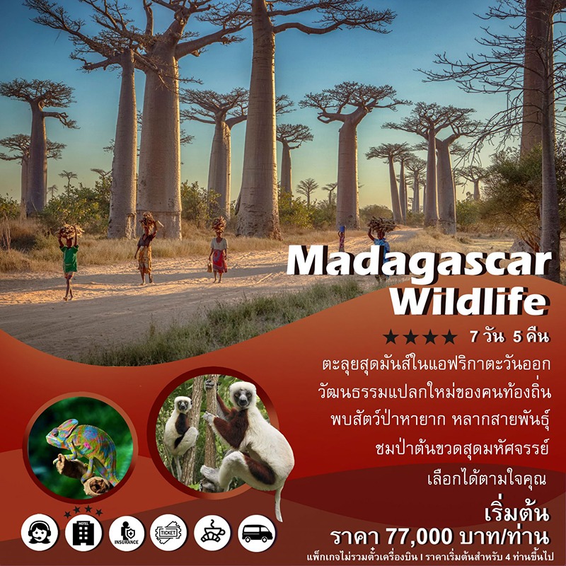 แพ็คเกจทัวร์มาดากัสการ์ Madagascar Wildlife, Soda Tour โซดาทัวร์,