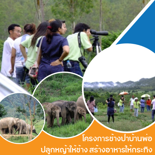 รับจัดกิจกรรม CSR, Soda Tour โซดาทัวร์,