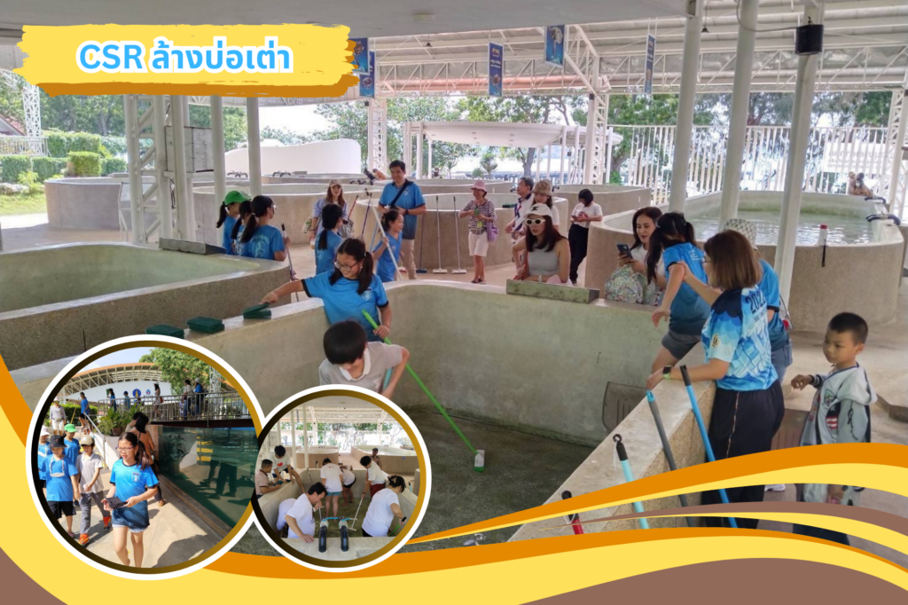 โปรแกรมทัวร์ 1 วัน พัทยา จ.ชลบุรี พร้อมกิจกรรม CSR ศูนย์อนุรักษ์เต่าทะเล, Soda Tour โซดาทัวร์, ทัวร์พัทยา 1 วัน