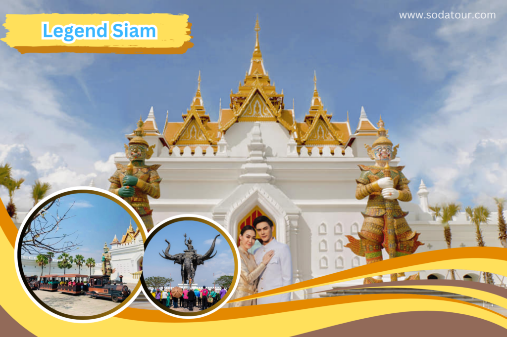 โปรแกรมทัวร์พัทยาปลูกปะการัง 1วัน, Soda Tour โซดาทัวร์,