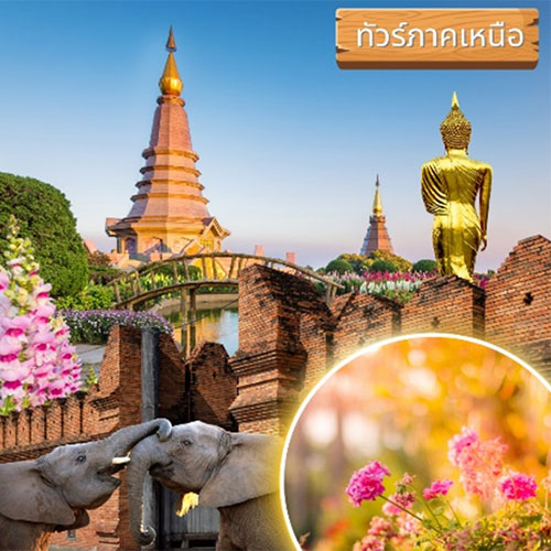 ทัวร์ภาคเหนือ