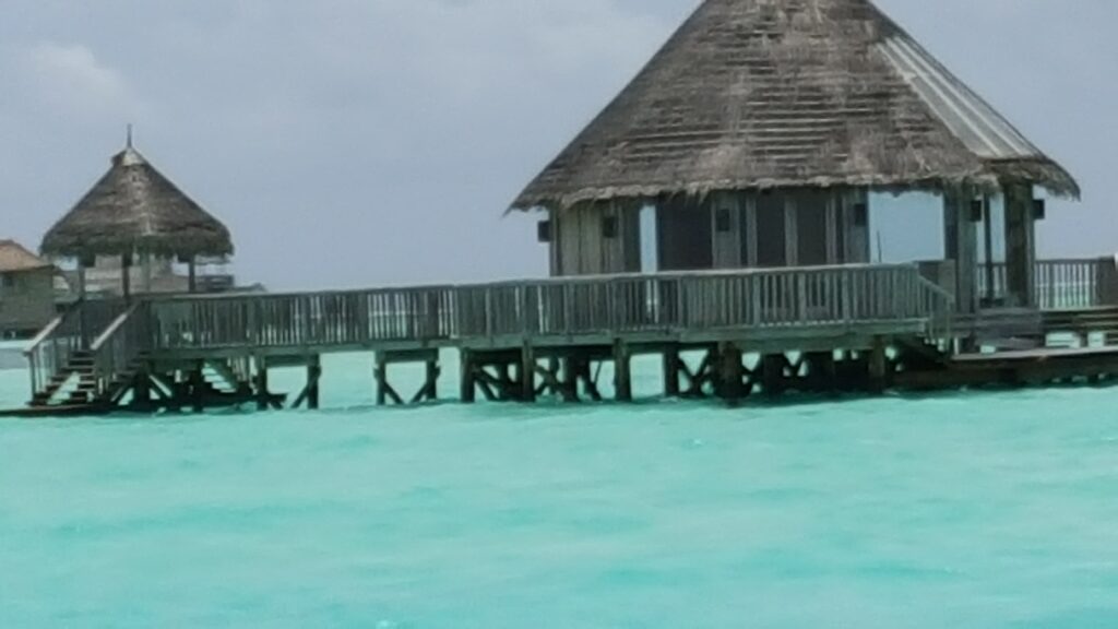 มัลดีฟส์ คุณนก จอยทัวร์, Soda Tour โซดาทัวร์,