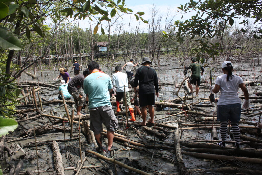 ปลูกป่าชายเลน, Soda Tour โซดาทัวร์,