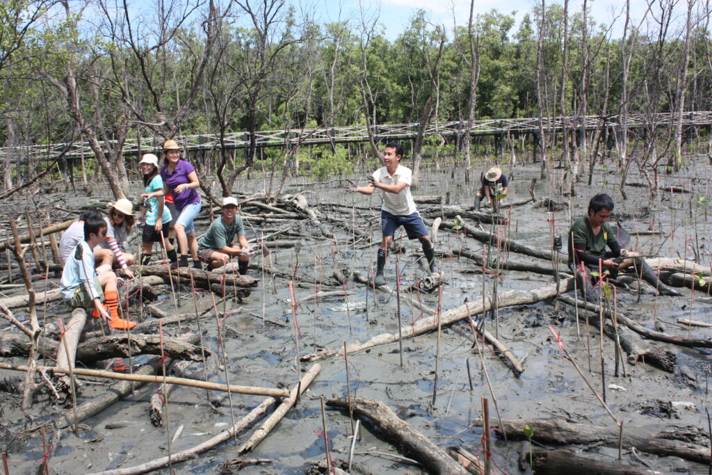 ปลูกป่าชายเลน, Soda Tour โซดาทัวร์,