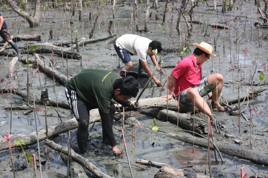 ปลูกป่าชายเลน, Soda Tour โซดาทัวร์,