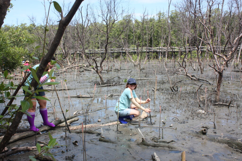 ปลูกป่าชายเลน, Soda Tour โซดาทัวร์,