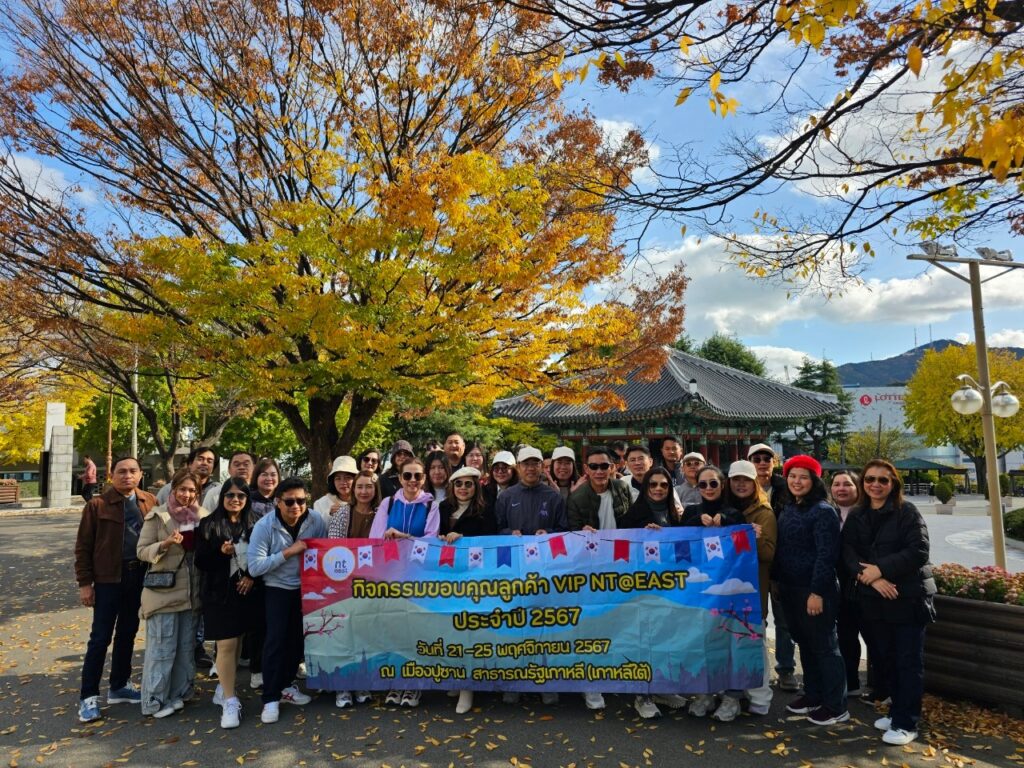 ประเทศเกาหลี, Soda Tour โซดาทัวร์,