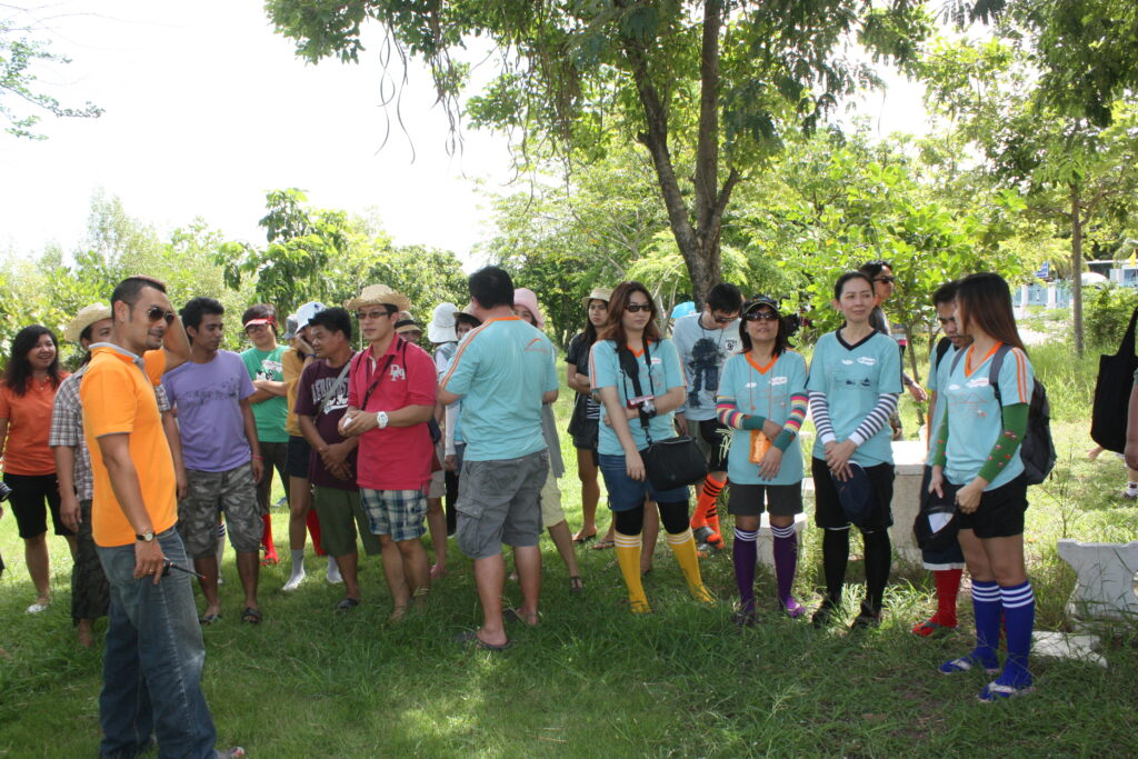 ปลูกป่าชายเลน, Soda Tour โซดาทัวร์,