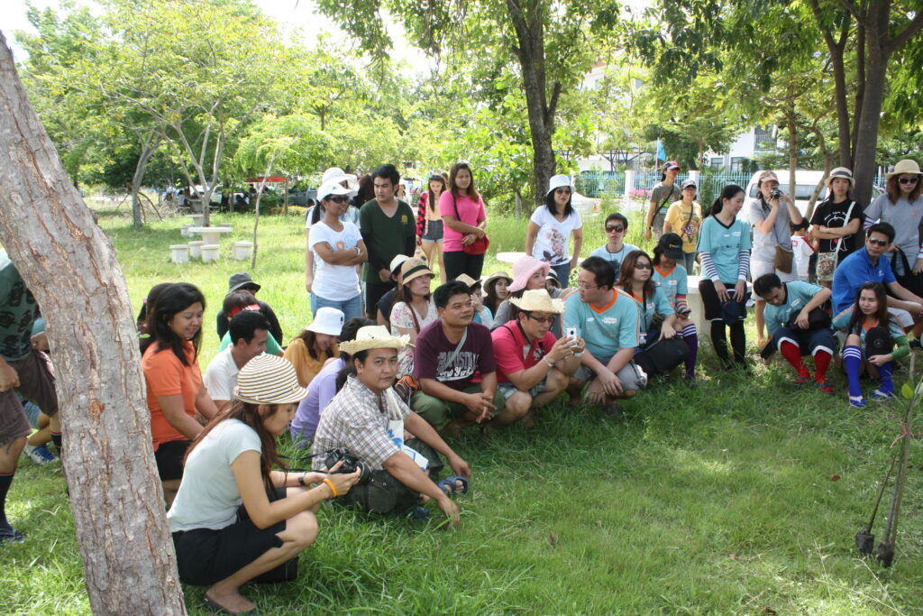 ปลูกป่าชายเลน, Soda Tour โซดาทัวร์,