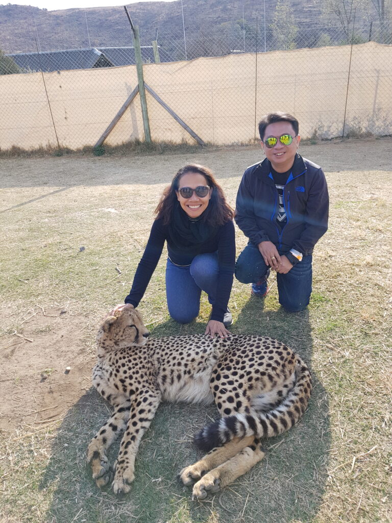 แอฟฟริกาใต้ ชมรมเอเย่นต์ คลับ, Soda Tour โซดาทัวร์,