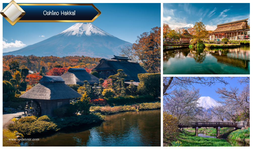 4 จุดชมวิวภูเขาไฟฟูจิ Landmark แดนปลาดิบ, Soda Tour โซดาทัวร์,