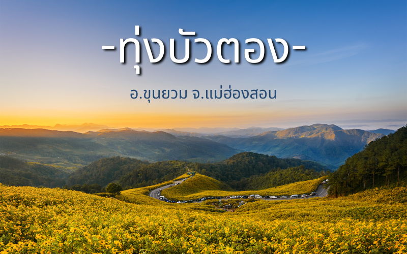 ทุ่งบัวตอง