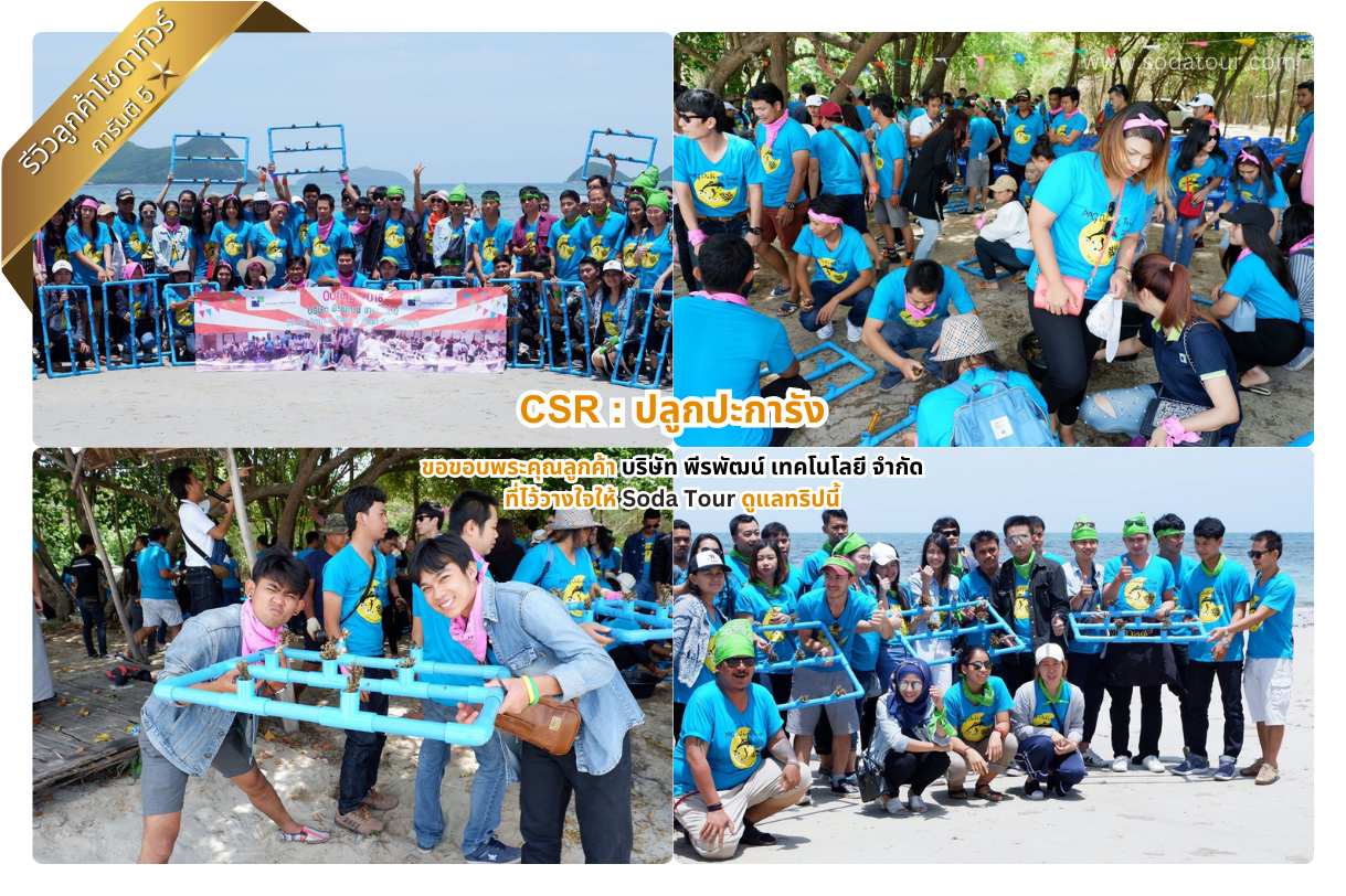 ปลูกปะการัง