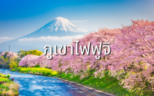 จุดชมวิวภูเขาไฟฟูจิ