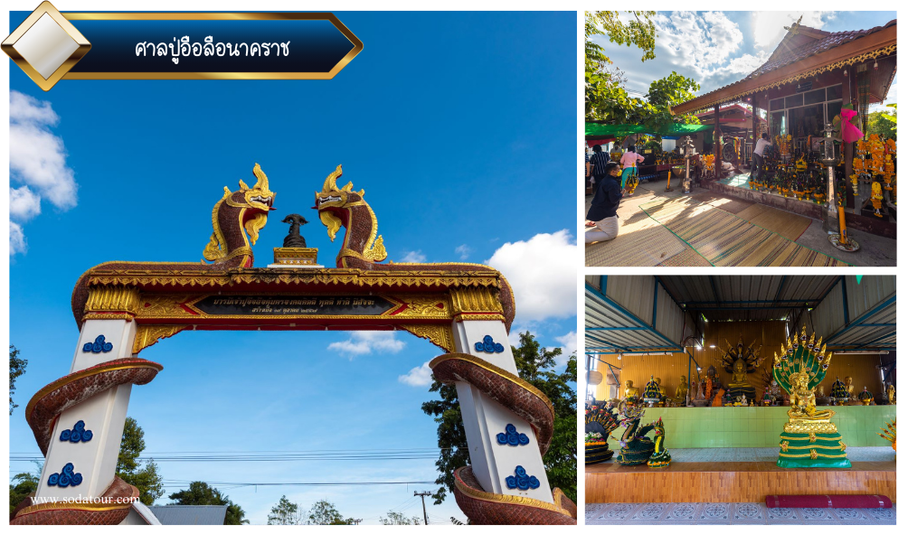 สถานที่แห่งนี้เป็นที่เคารพสักการะของชาวบ้านและนักท่องเที่ยวที่เลื่อมใสในองค์ปู่อือลือนาคราช พญานาคผู้ปกปักรักษาบึงโขงหลง