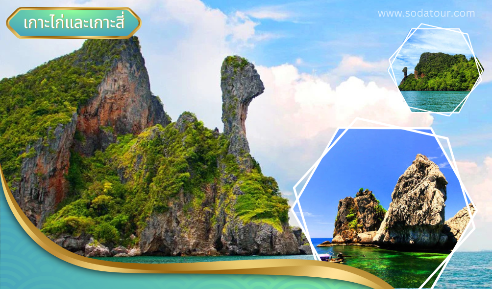 เกาะไก่และเกาะสี่ New