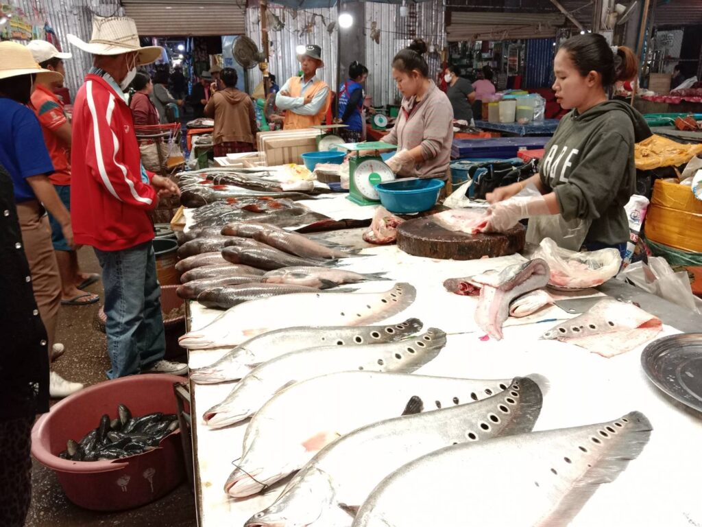 ลาวใต้ ปากเซ จำปาสัก 3 วัน 2 คืน, Soda Tour โซดาทัวร์,