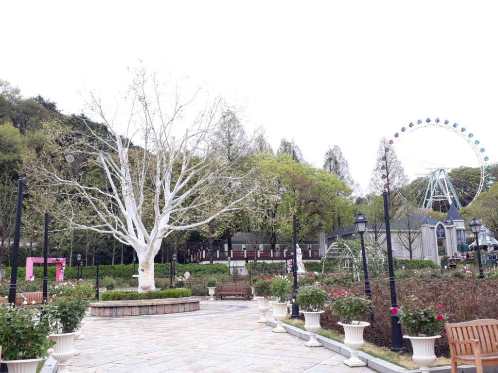 เกาหลีใต้, Soda Tour โซดาทัวร์,