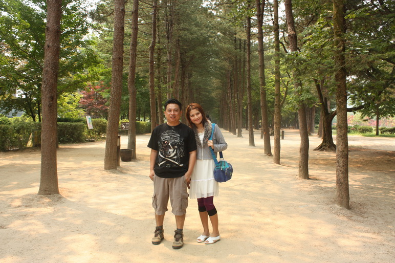 เกาหลีใต้ โซล 5 วัน 3 คืน, Soda Tour โซดาทัวร์,