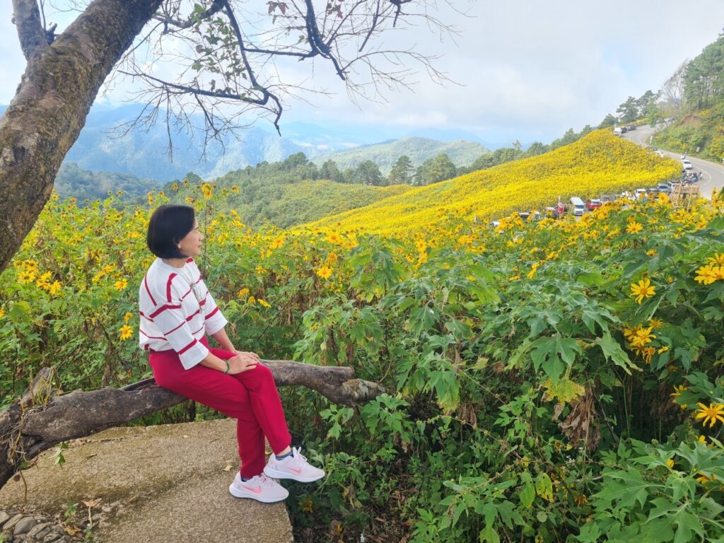 ทัวร์เทศกาลทุ่งบัวตอง จอยทัวร์, Soda Tour โซดาทัวร์,