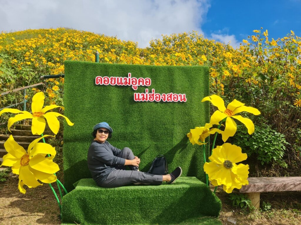 ทัวร์เทศกาลทุ่งบัวตอง จอยทัวร์, Soda Tour โซดาทัวร์,