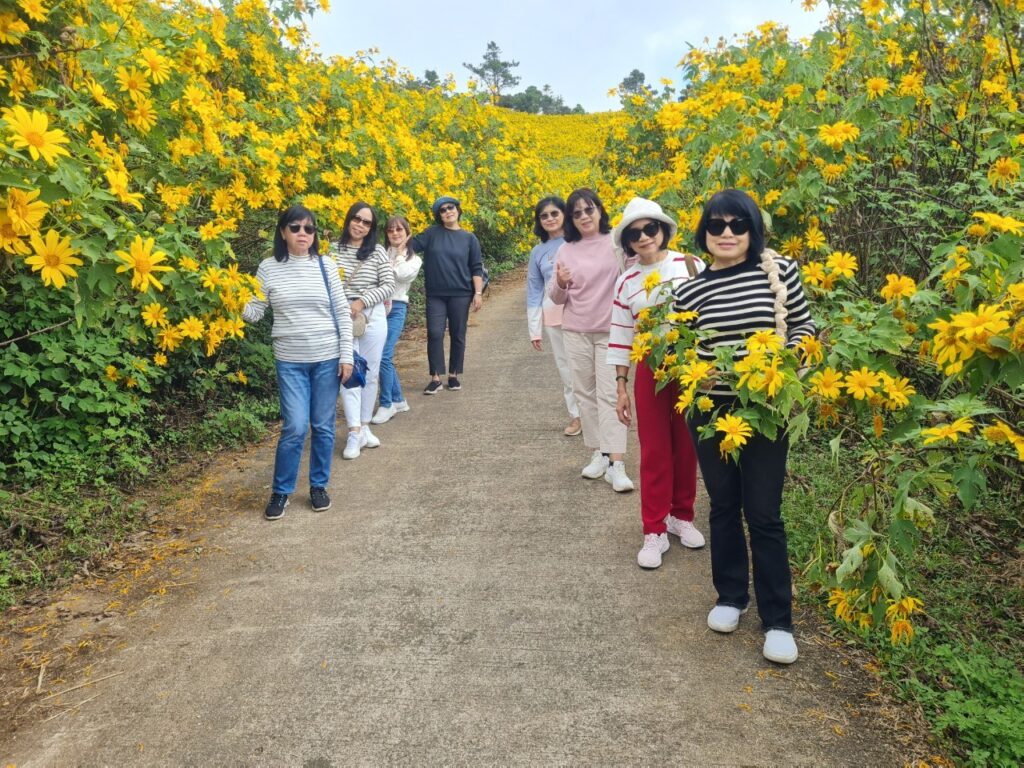 ทัวร์เทศกาลทุ่งบัวตอง จอยทัวร์, Soda Tour โซดาทัวร์,