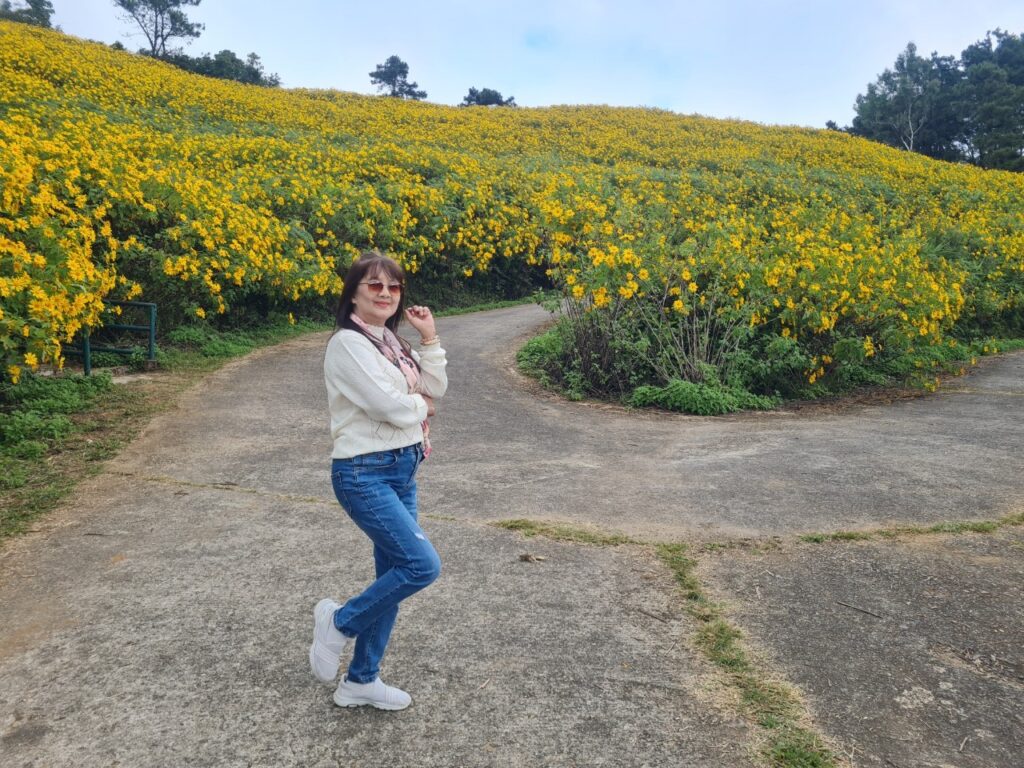 ทัวร์เทศกาลทุ่งบัวตอง จอยทัวร์, Soda Tour โซดาทัวร์,