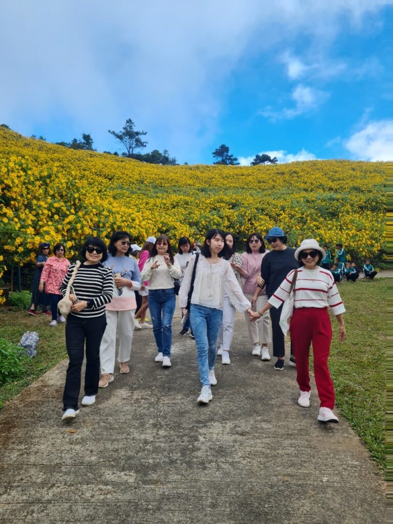 ทัวร์เทศกาลทุ่งบัวตอง จอยทัวร์, Soda Tour โซดาทัวร์,