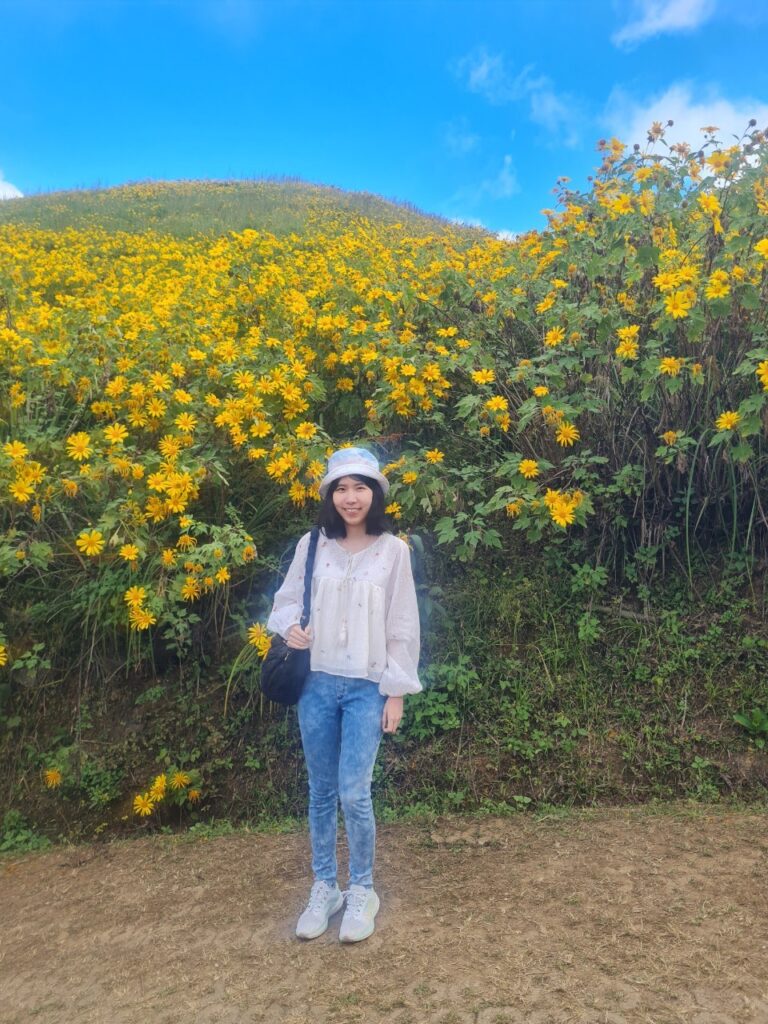 ทัวร์เทศกาลทุ่งบัวตอง จอยทัวร์, Soda Tour โซดาทัวร์,