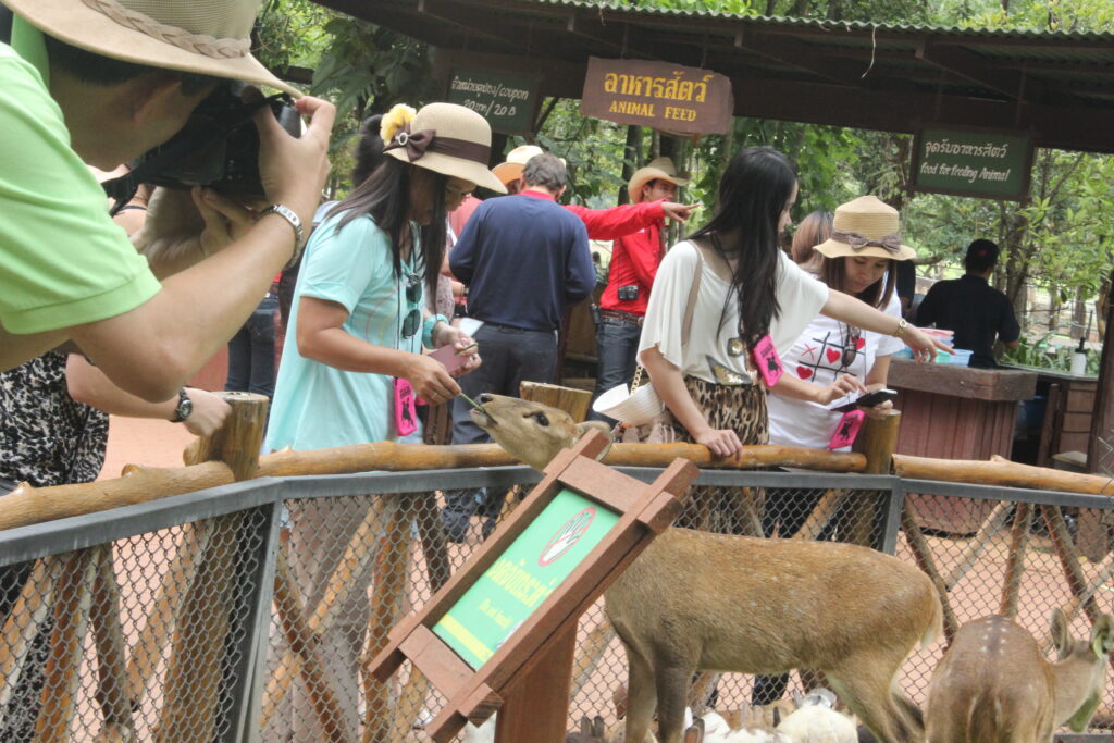 ปากช่อง 3 วัน 2 คืน บริษัท เจ๊บเซ่นแอนด์เจ๊สเซ่น จำกัด, Soda Tour โซดาทัวร์,