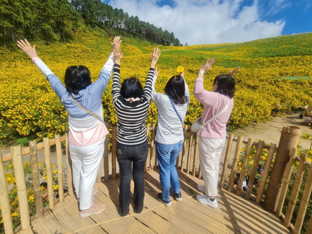 ทัวร์เทศกาลทุ่งบัวตอง จอยทัวร์, Soda Tour โซดาทัวร์,