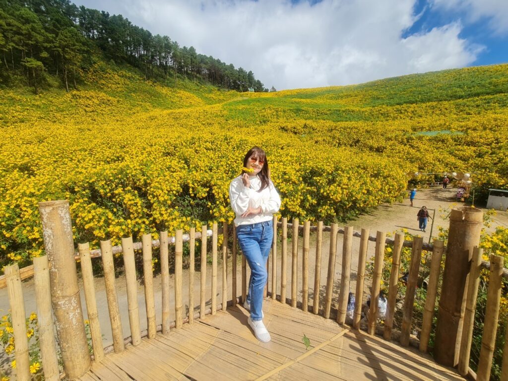 ทัวร์เทศกาลทุ่งบัวตอง จอยทัวร์, Soda Tour โซดาทัวร์,