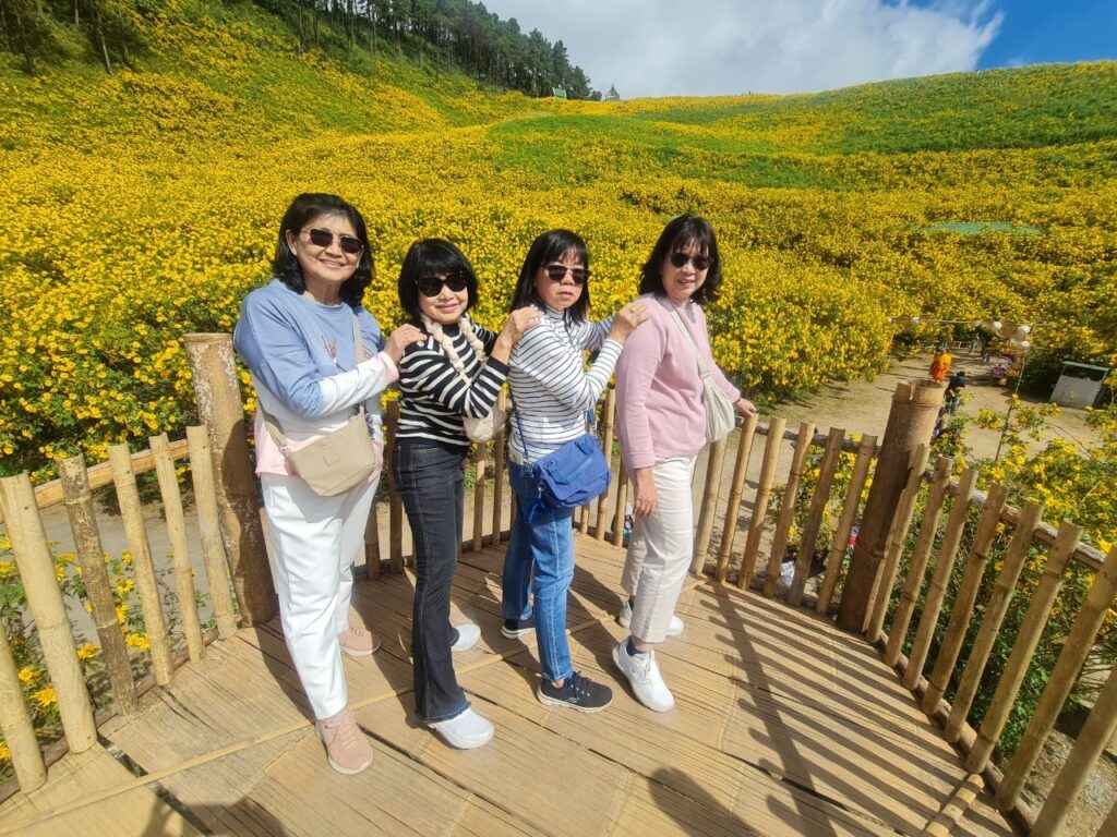 ทัวร์เทศกาลทุ่งบัวตอง จอยทัวร์, Soda Tour โซดาทัวร์,