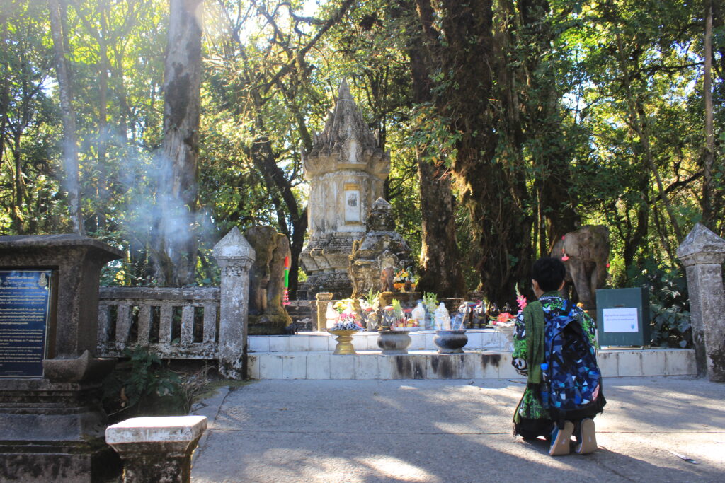 เชียงใหม่ 4 วัน 3 คืน บริษัท ซี เอส ล็อคอินโฟ จำกัด, Soda Tour โซดาทัวร์,