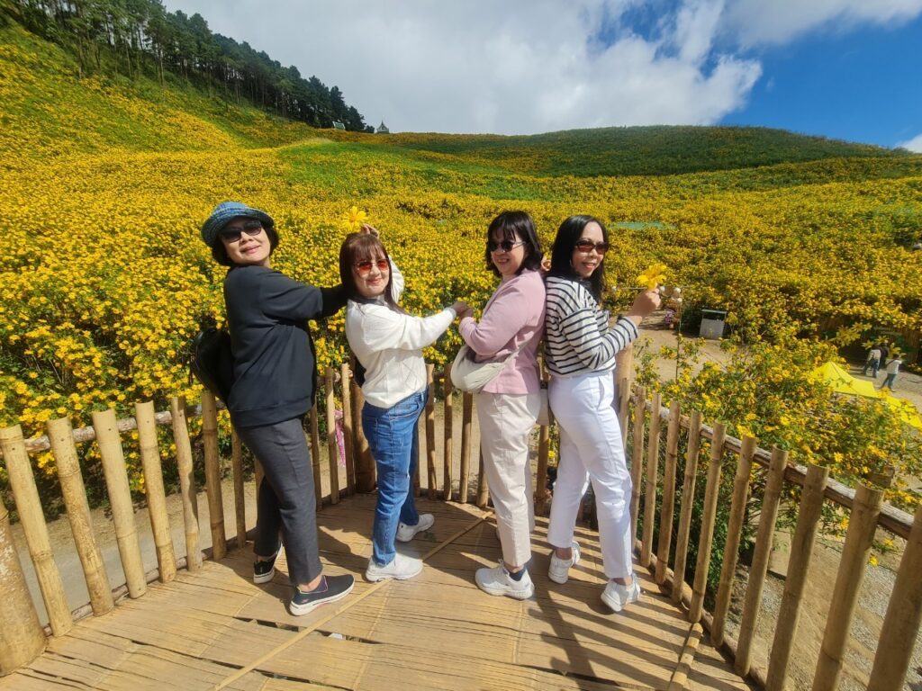 ทัวร์เทศกาลทุ่งบัวตอง จอยทัวร์, Soda Tour โซดาทัวร์,