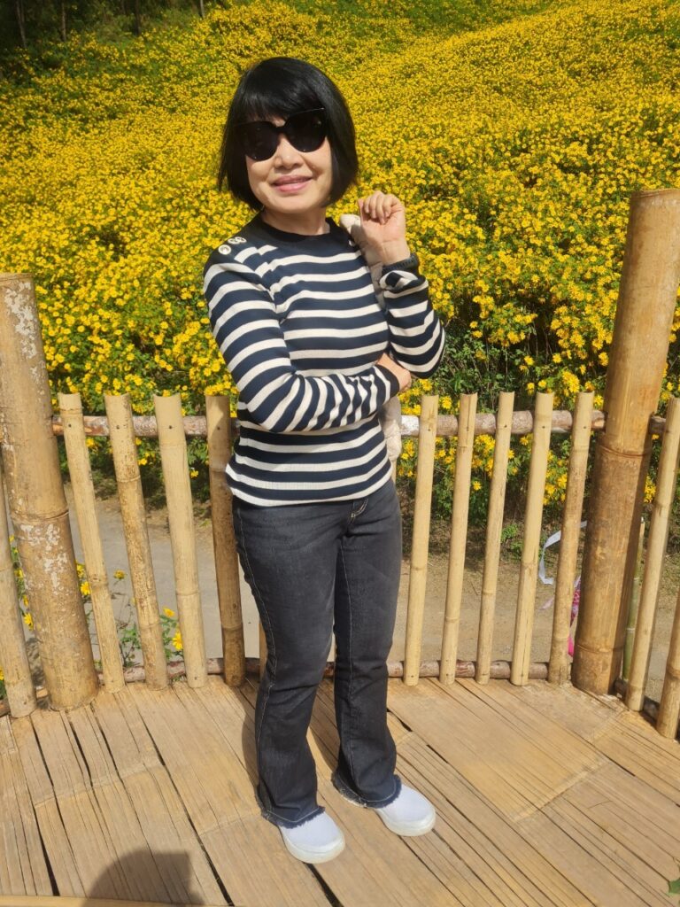 ทัวร์เทศกาลทุ่งบัวตอง จอยทัวร์, Soda Tour โซดาทัวร์,