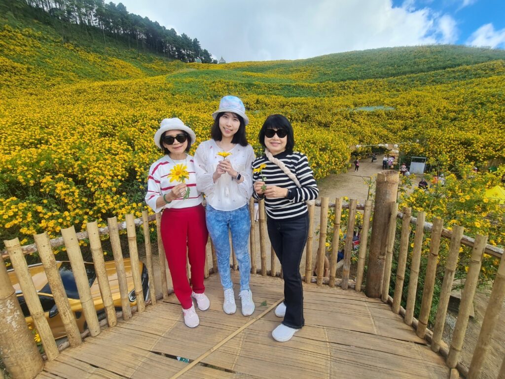 ทัวร์เทศกาลทุ่งบัวตอง จอยทัวร์, Soda Tour โซดาทัวร์,