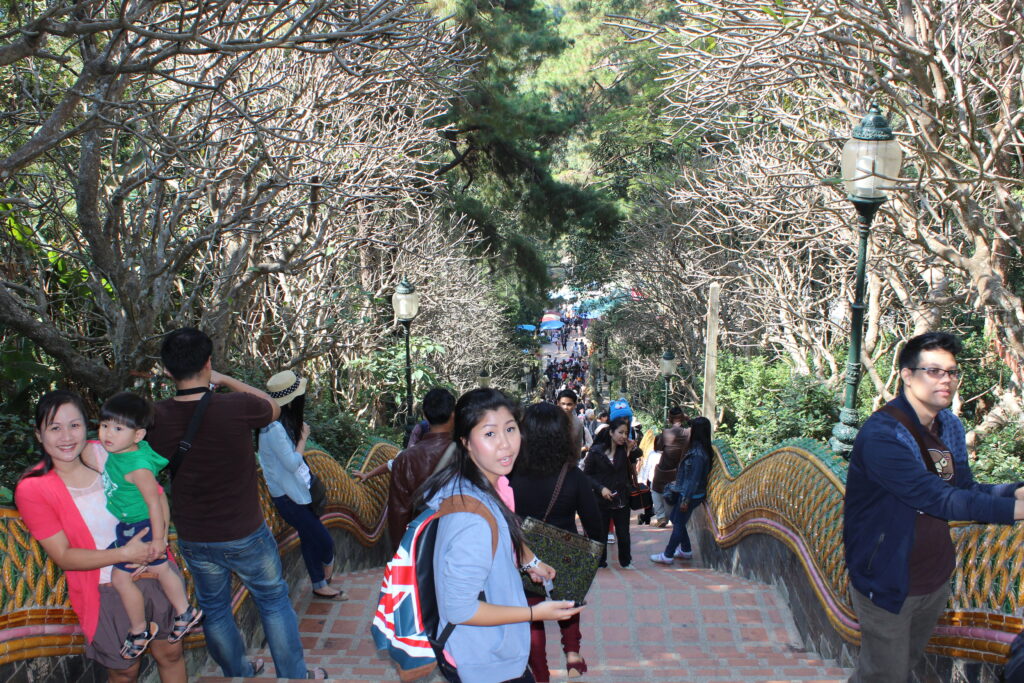 เชียงใหม่ 4 วัน 3 คืน บริษัท ซี เอส ล็อคอินโฟ จำกัด, Soda Tour โซดาทัวร์,