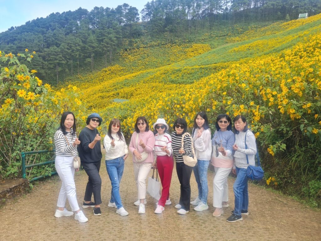 ทัวร์เทศกาลทุ่งบัวตอง จอยทัวร์, Soda Tour โซดาทัวร์,