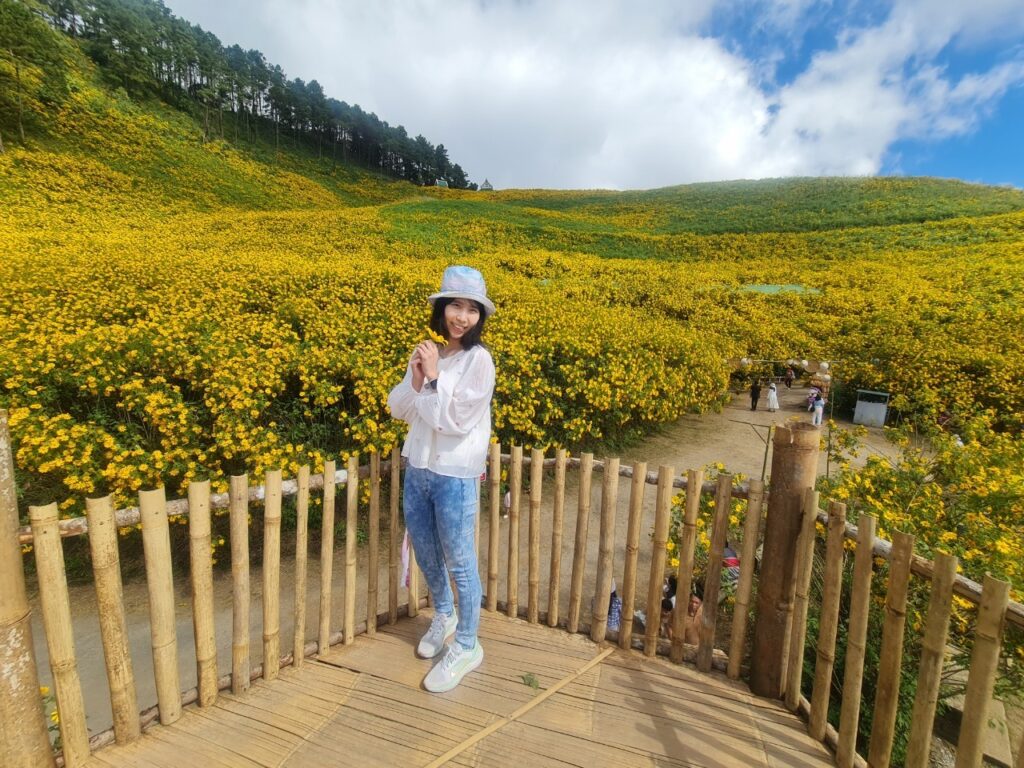 ทัวร์เทศกาลทุ่งบัวตอง จอยทัวร์, Soda Tour โซดาทัวร์,