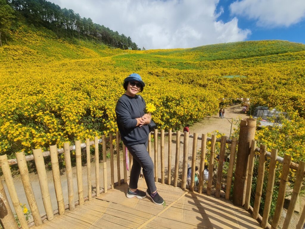 ทัวร์เทศกาลทุ่งบัวตอง จอยทัวร์, Soda Tour โซดาทัวร์,