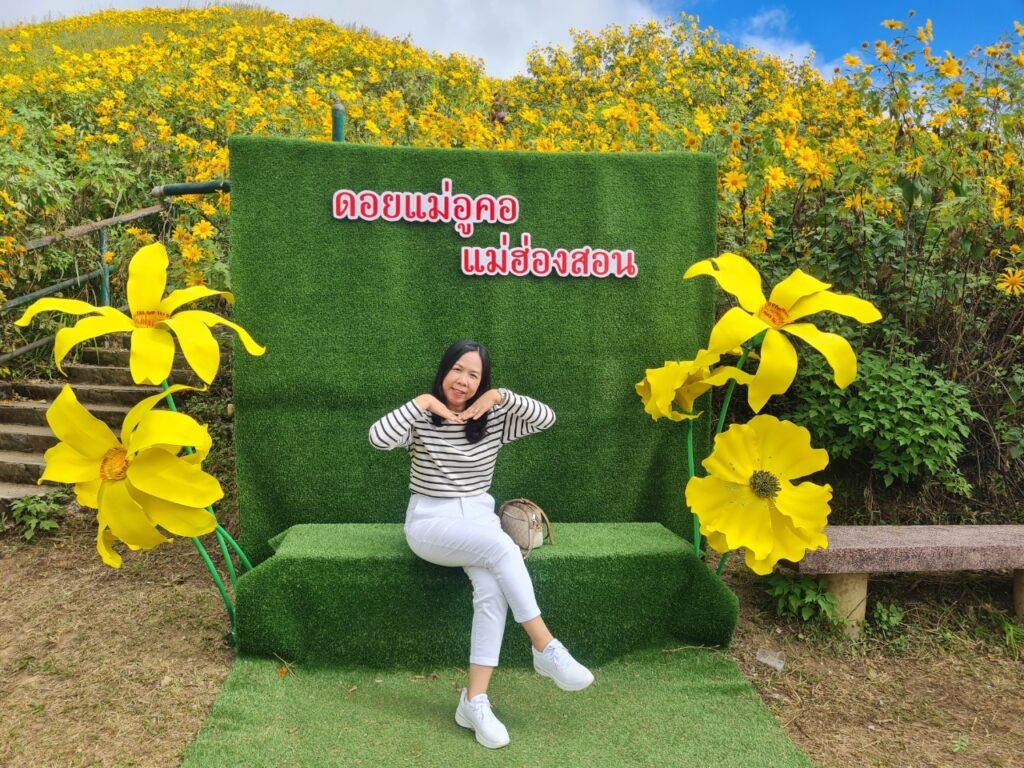 ทัวร์เทศกาลทุ่งบัวตอง จอยทัวร์, Soda Tour โซดาทัวร์,