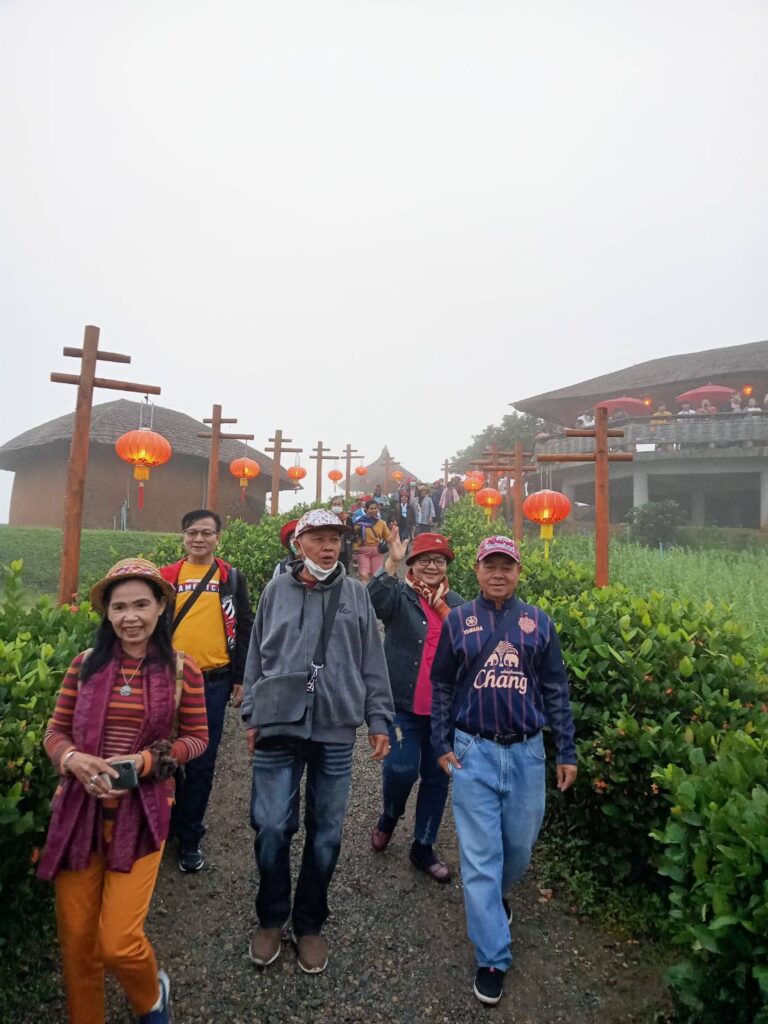 ทะเลหมอกหยุ่นไหล อ.ปาย จ.แม่ฮ่องสอน จอยทัวร์, Soda Tour โซดาทัวร์,