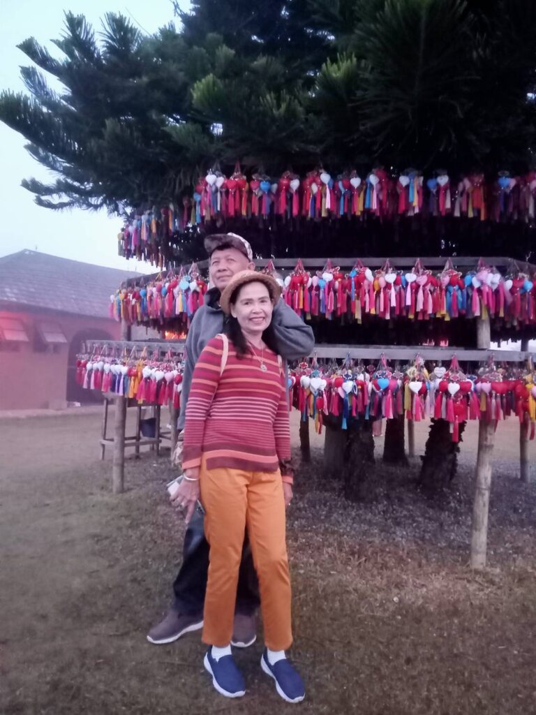 ทะเลหมอกหยุ่นไหล อ.ปาย จ.แม่ฮ่องสอน จอยทัวร์, Soda Tour โซดาทัวร์,