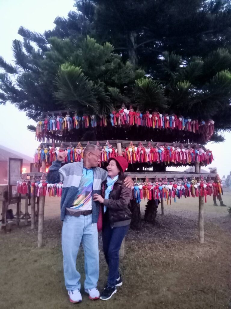 ทะเลหมอกหยุ่นไหล อ.ปาย จ.แม่ฮ่องสอน จอยทัวร์, Soda Tour โซดาทัวร์,