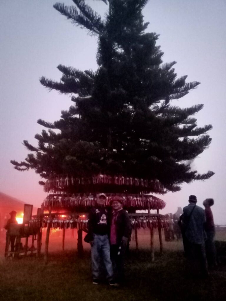 ทะเลหมอกหยุ่นไหล อ.ปาย จ.แม่ฮ่องสอน จอยทัวร์, Soda Tour โซดาทัวร์,