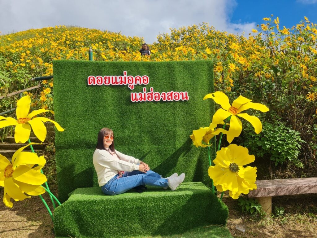 ทัวร์เทศกาลทุ่งบัวตอง จอยทัวร์, Soda Tour โซดาทัวร์,