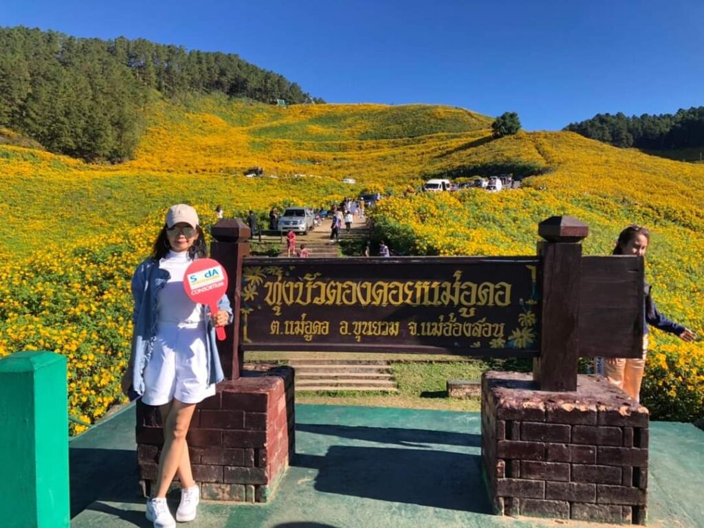 ทุ่งบัวตอง ดอยแม่อูคอ จ.แม่ฮ่องสอน, Soda Tour โซดาทัวร์,