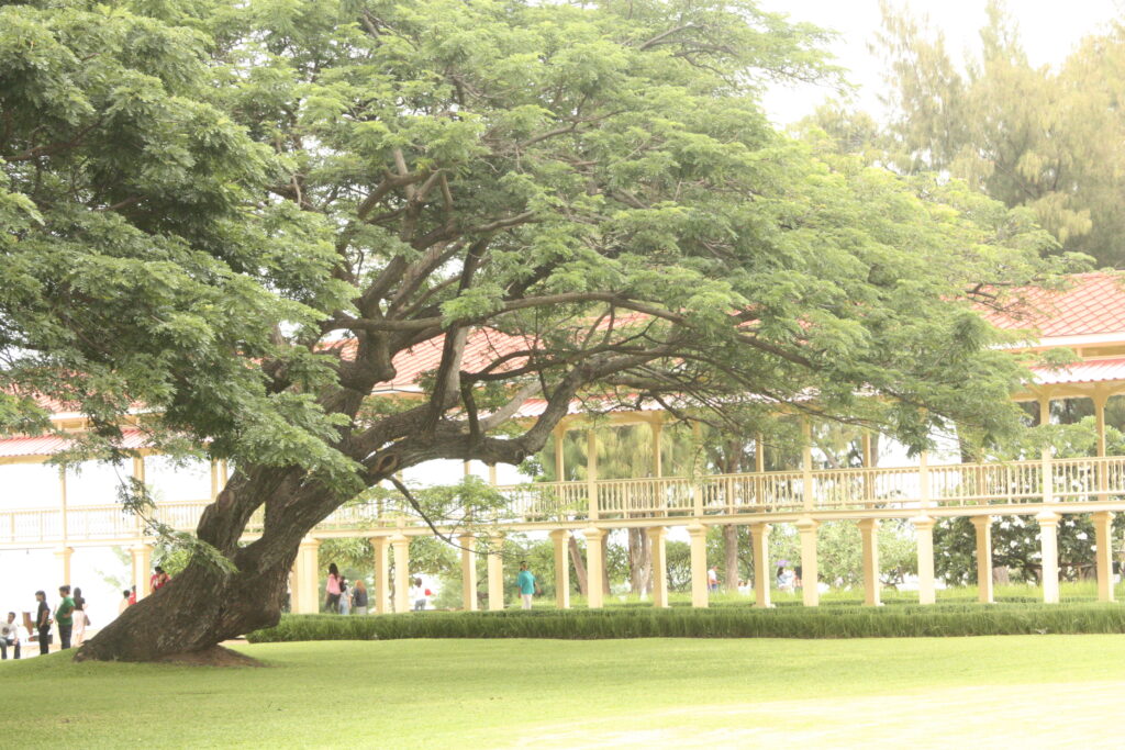 หัวหิน 2 วัน 1 คืน บริษัท วินเทอร์เออร์อินดัสตรี จำกัด, Soda Tour โซดาทัวร์,