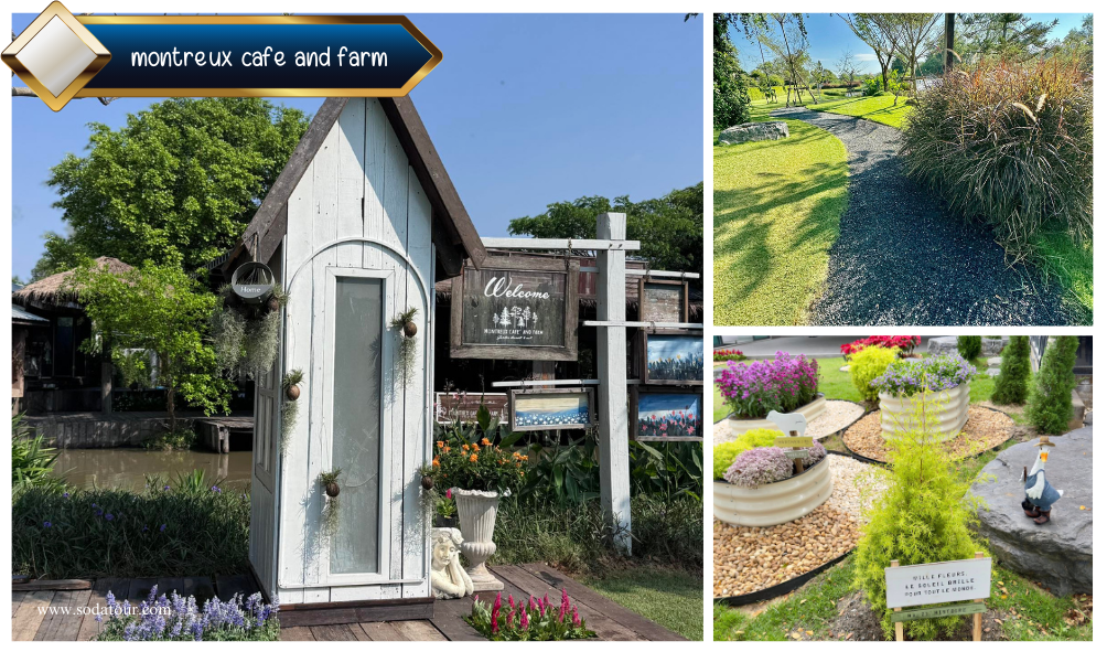 montreux cafe and farm